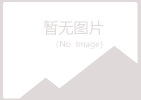 伊春五营山柳机械有限公司